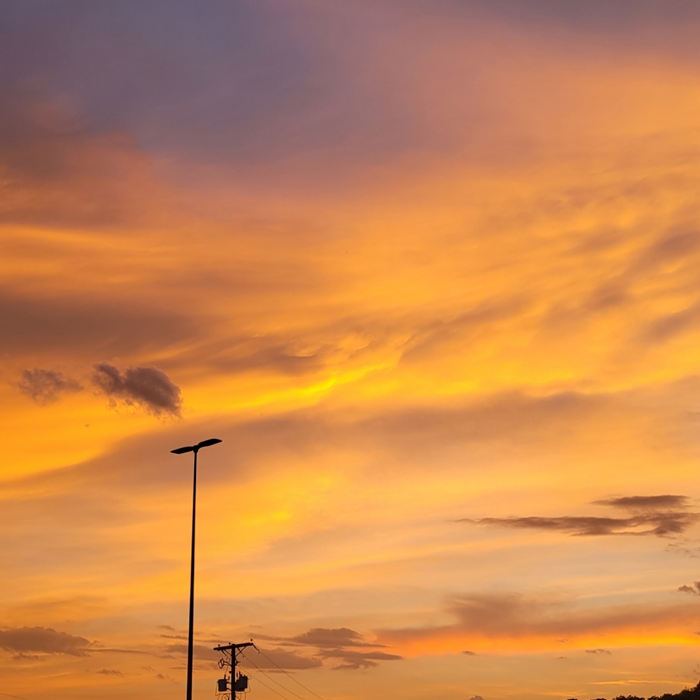 Meet your Posher, Lucy